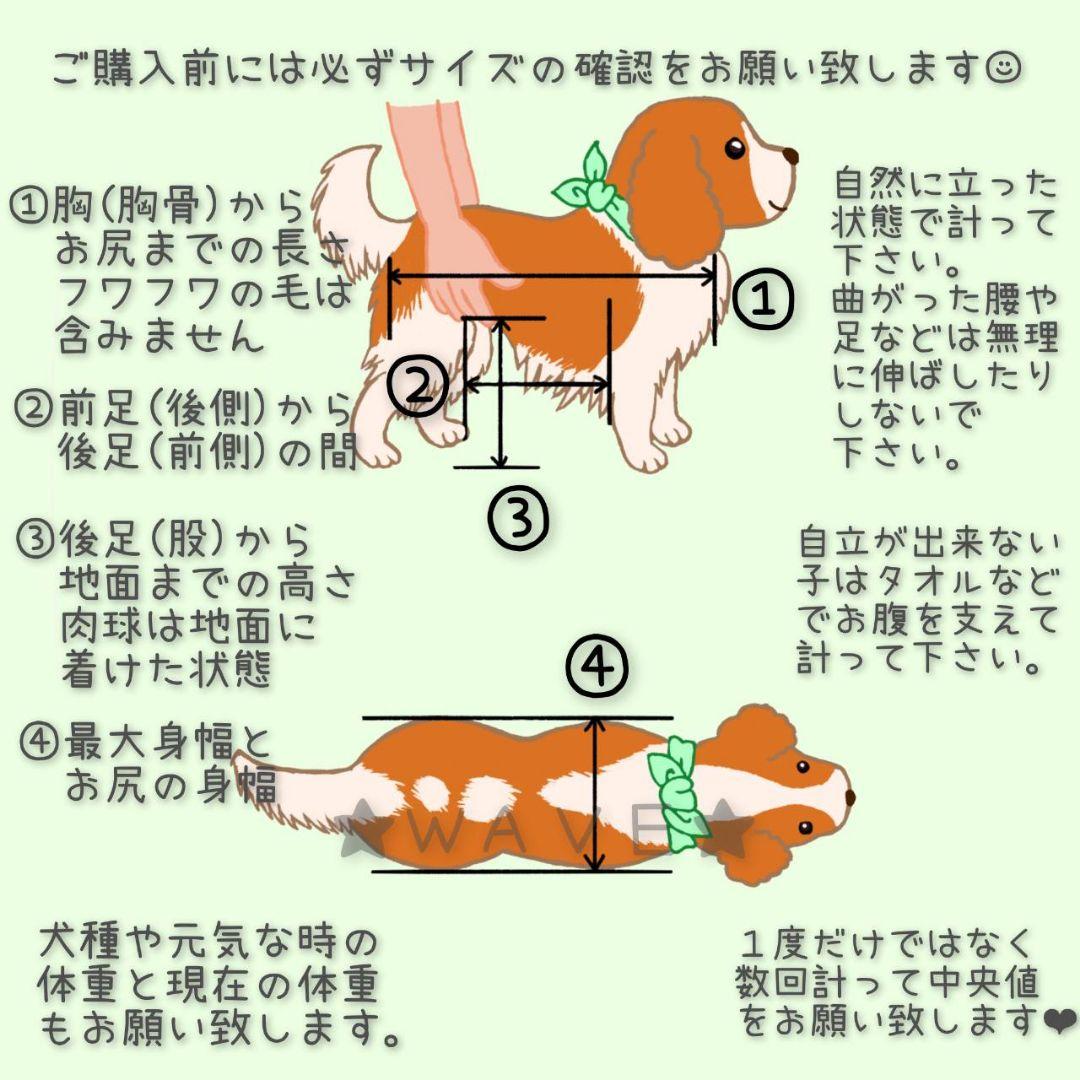 rouken.seta　犬用車椅子　犬の歩行器　シニア犬　介護　犬の車いす