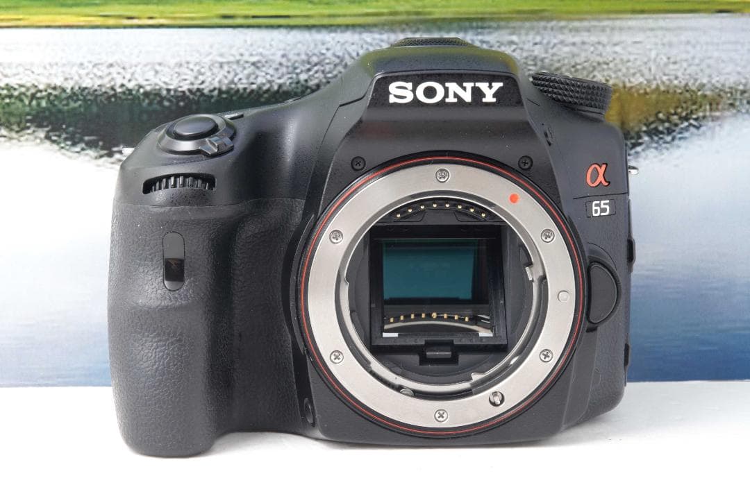 爆速連写！SONY α65ダブルレンズームセット★手振れ補正内臓★本格一眼レフ
